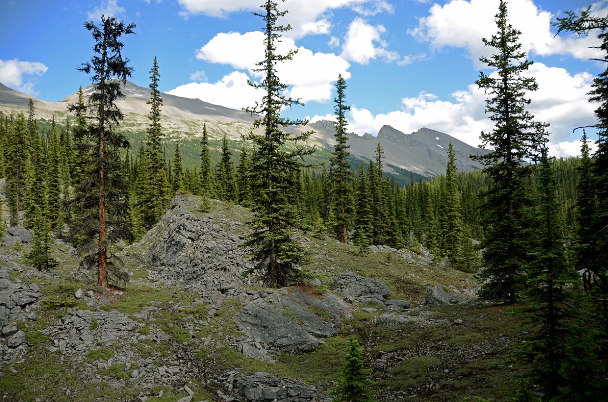 29 Valley Of the Rocks With Windy Ridge and Og Mountain On Hike To Mount Assiniboine